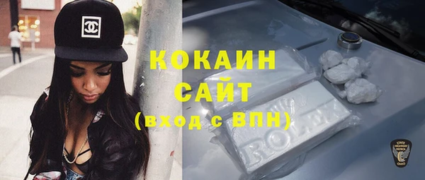 молекула духа Алексин