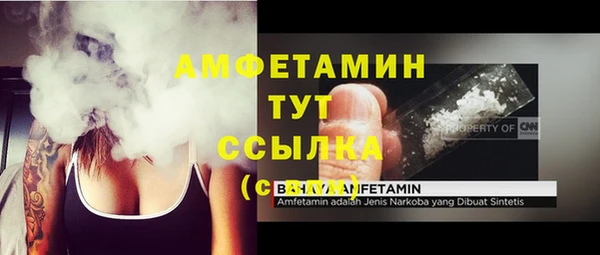 молекула духа Алексин