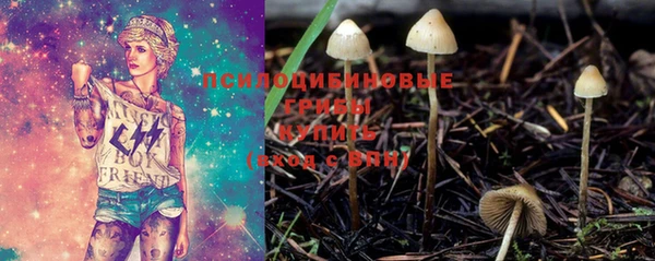 марки nbome Алзамай