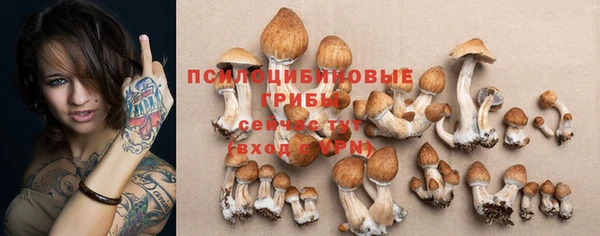 молекула духа Алексин