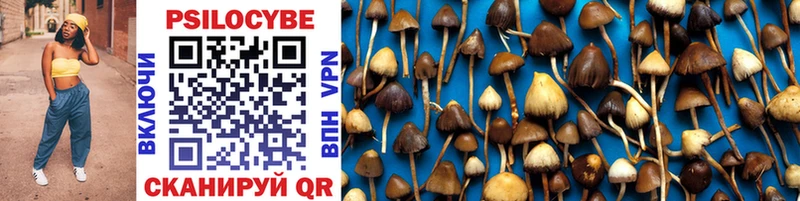 закладка  mega онион  Галлюциногенные грибы Psilocybine cubensis  Красноуфимск 