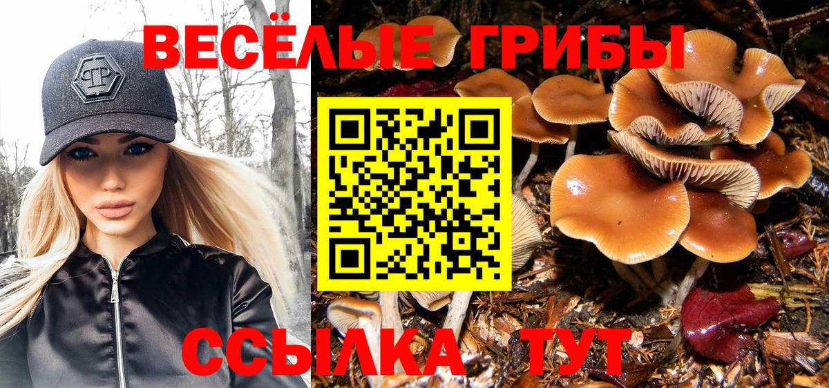 продажа наркотиков  Вход с VPN  Красноуфимск  Псилоцибиновые грибы MAGIC MUSHROOMS 